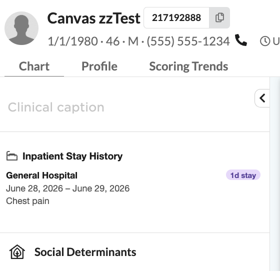 A custom section rendered in the patient chart summary.
